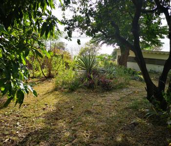 IMG 20190218 163239