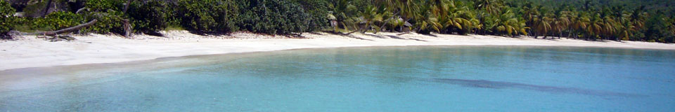 Island Tour